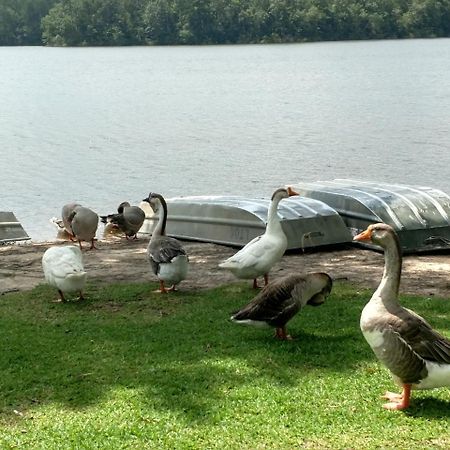 Lake Tiak - O'Khata Resort Louisville Eksteriør billede