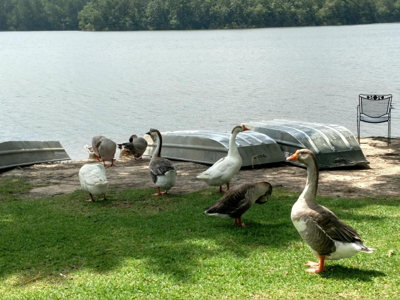 Lake Tiak - O'Khata Resort Louisville Eksteriør billede